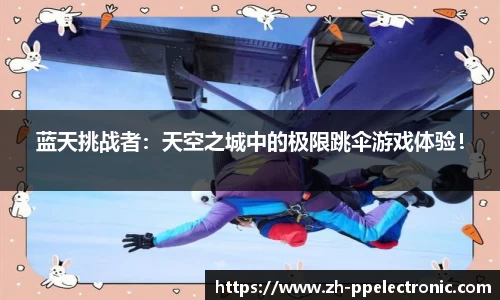 pp电子平台