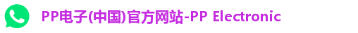 PP电子(中国)官方网站-PP Electronic